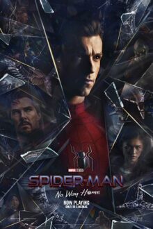 Spider-Man: No Way Home (2021)