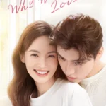 Why Women Love (Season 1) Hindi ORG Dubbed